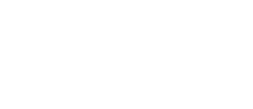 white paessler logo on a transparent background